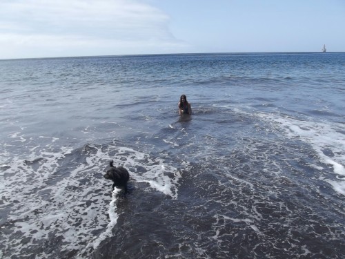 Problaby the happiest moment of my summer: When Foxy Dog swim for the first time betwen me in a precious beach after a long walk through the mountain to get there 🐶💞