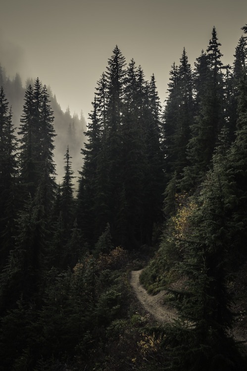 https://aselg01.tumblr.com/post/109223478262