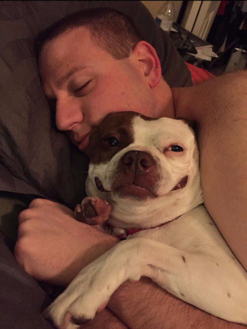 awwww-cute:  The Snuggle Thief (Source: http://ift.tt/209vDoV)
