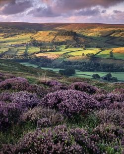 bluepueblo:  Rosedale, North Yorkshire, England