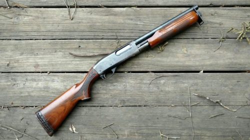 gun-gallery: Remington 870 SBS - 12 Gauge adult photos