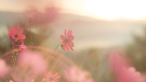Visible Warmth