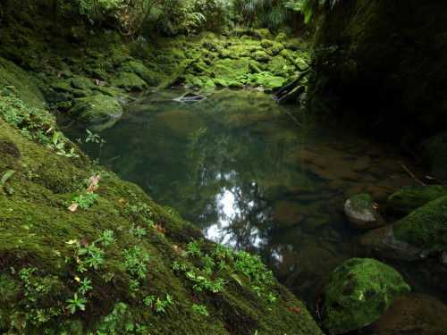 90377:The Green Pool ~ Bullock Creek by Steve Reekie 