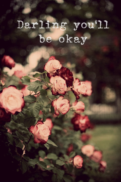 🥀🥀🥀