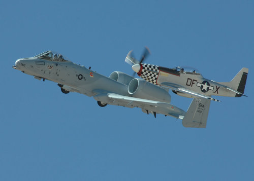 A-10 Thunderbolt (Warthog) and P-51 Mustang