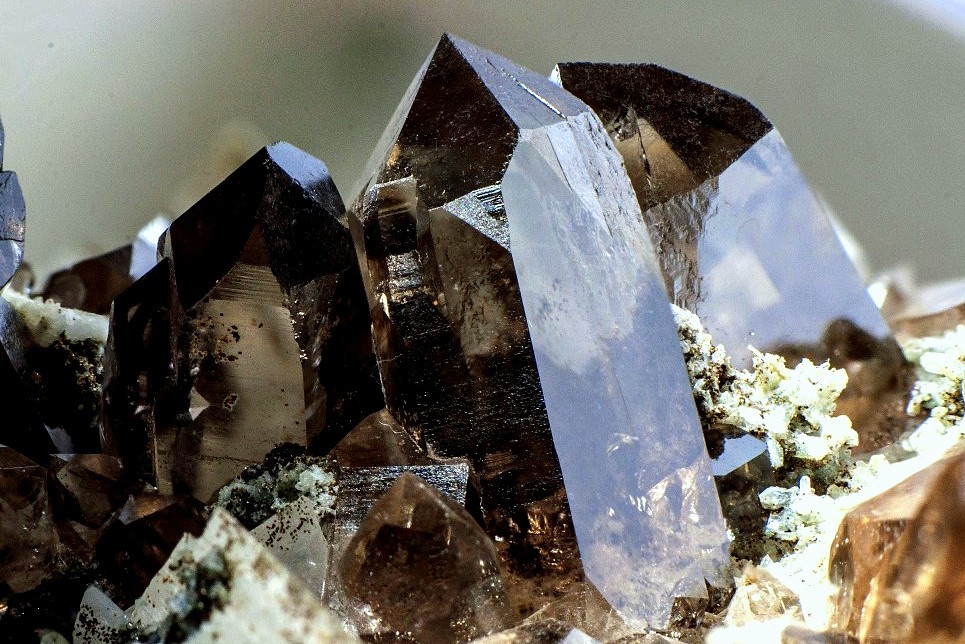 underthescopemin:  Quartz (Var: Smoky Quartz) A group of prismatic crystals of