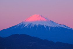 drxgonfly: Mount Fuji Dyed Pink (by  Atsushi