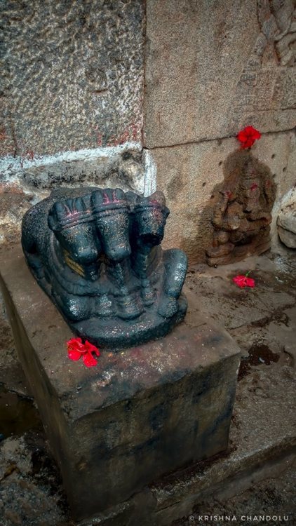 Trimukha Nandi at Virupaksha Temple, photo by Krishna Chandolu