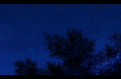 Melody Of Metafalica Explore Tumblr Posts And Blogs Tumgir