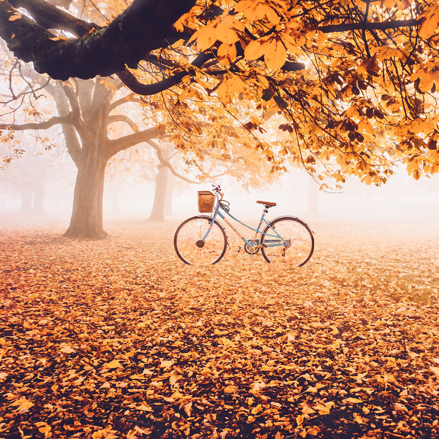 landscape-photo-graphy:  Photographer Kristina Makeeva Captures What Autumn Looks