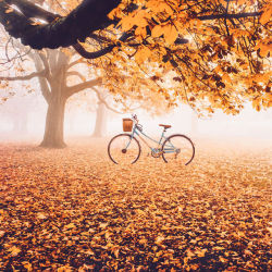 Landscape-Photo-Graphy:  Photographer Kristina Makeeva Captures What Autumn Looks