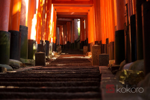 kokorojapanreisen:Fushimi Inari Taisha, Kyôto, Nov. 2013