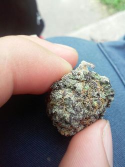 charrmando:  That purp 