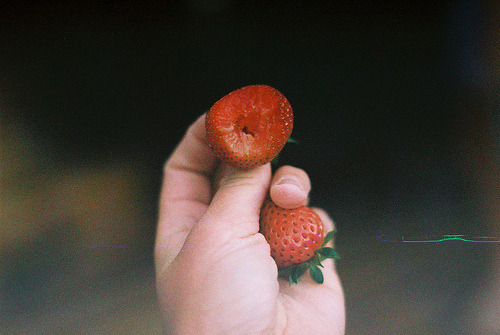 euphoriette:  via Flickr on We Heart It 