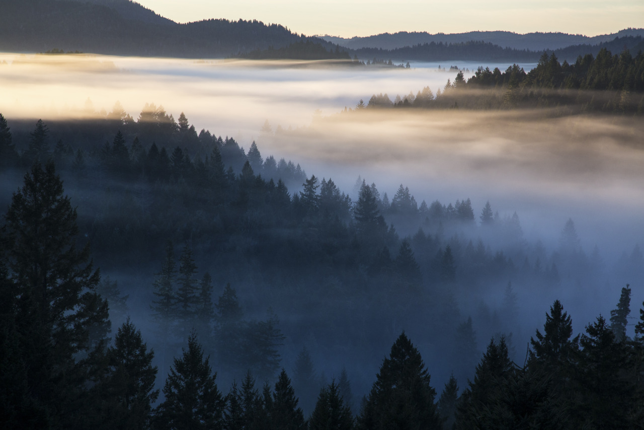 mypubliclands:  #mypubliclandsroadtrip Recap in BLM California!The summer roadtrip