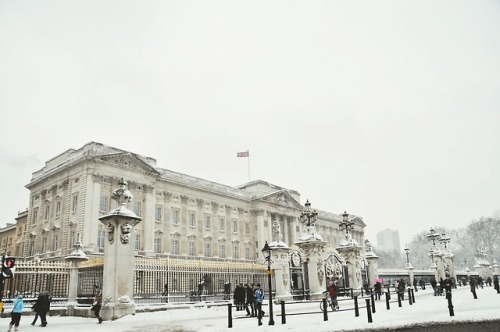 englishsnow:   by Paolo Camera   Trafalgar Square