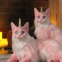 sosuperawesome:  Poseable Caticorn Soft Sculptures Fuego Fatuo on Etsy  See our #Etsy or #Sculpture tags  