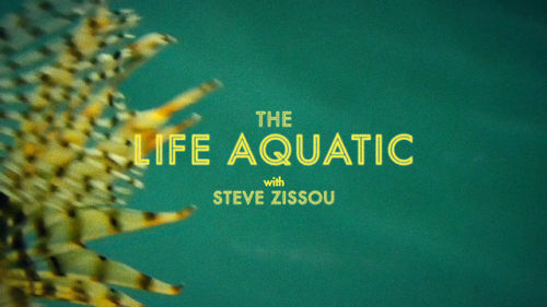 ay-ayrawn:The films of Wes Anderson