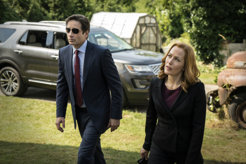 randomfoxphotos:The X Files: Founder’s Mutation“ Episodic Photos