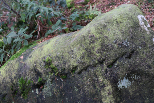 Doll Tor Stone Circle in Autumn, Derbyshire, 26.10.17. Returned today and it seemed very Autumnal; l