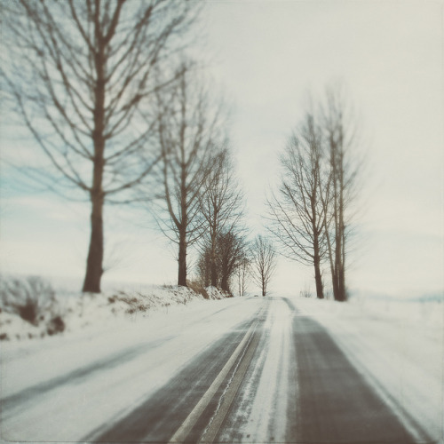 with-the-wolves:  Where the wind will take… by Weisimel on Flickr.