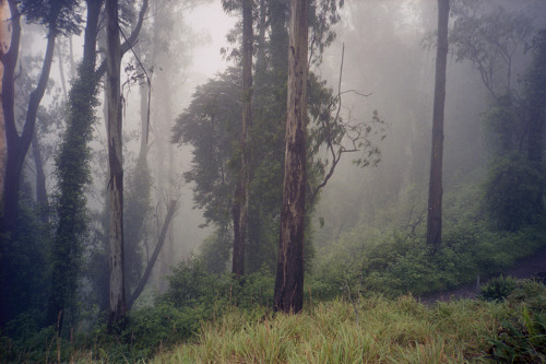alcyere:Untitled (by Michael ten Pas)
