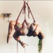 tumblr photo prettycocokitty 1