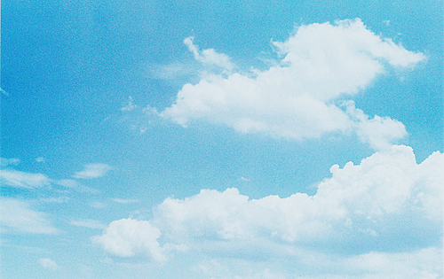 ryeou:  羽ばたく夏雲 (by ricco♪) 