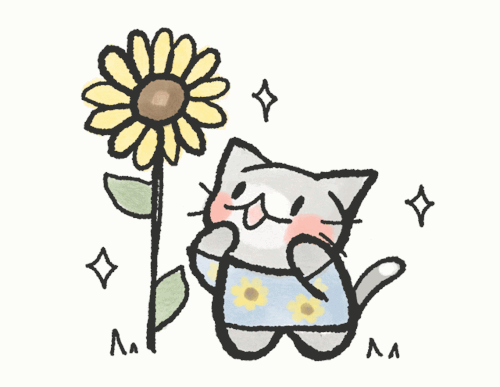 a grey cat looking up at a sunflower