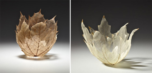 littlelimpstiff14u2: Beautiful Leaf Bowls Made From Real Leaf Skeletons by Kay Sekimachi Ethereal bo