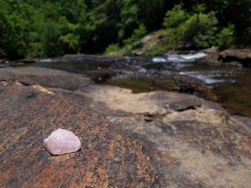 naturebumselements: my baby rose quartz getting some cleansing and sun rays