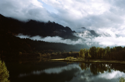 awkwardsituationist:  parker fitzgerald photographs josh garrels and his son, shep 