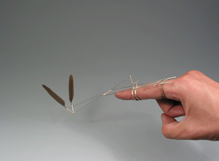 curiousmiscellanies: curious miscellanies