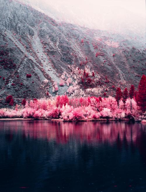 oneshotolive:  Sabrina Lake - Bishop, CA [OC][4442x5818] 📷: dougolupski 