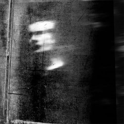   Antonio Palmerini  