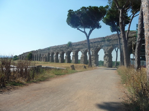 Aqueduct park of Rome - how to get thereThis place is one of my favourites in Rome and actually not 