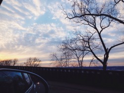 narcotine:  Always take pictures of the sky