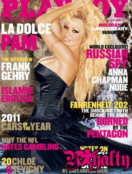 primalbehaviors:  Pamela Anderson primal behaviors  :  follow | adult tags | recommended