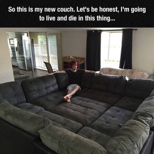lol-post:  couching level: Sultanhttp://lol-post.tumblr.com/