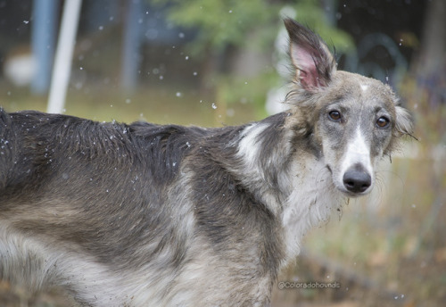 She’s beauty, she’s grace, she’s got mud all over her entire body oh god.