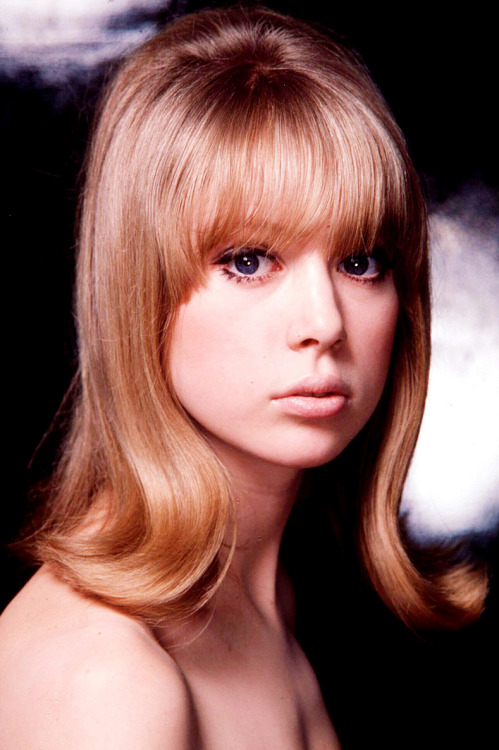 something-about-pattie-boyd: patricia anne boyd, 1964