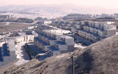 “Little Boxes on a Hillside,” Somewhere near the San Francisco/Daly City Municipal Boundary, 1969.On