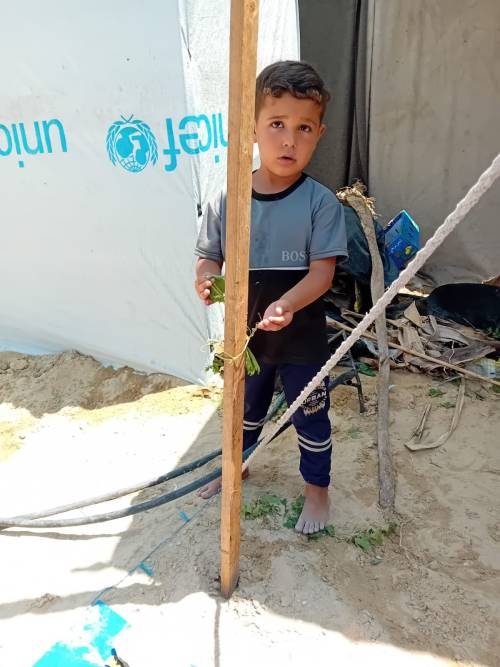 I Am Shady Ashour From The Besieged Gaza, I Have Created My Campaign To Help My Family And Save Them