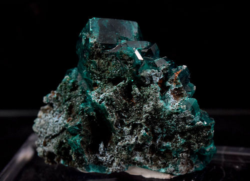 bogglocity: Dioptase from Tsumeb, Namibia. One of my most popular specimens on this blog, it deserve