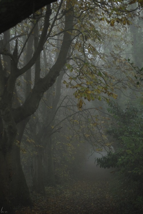 buron: The Mists of Paroketh (ii)©sydburon - November ‘15