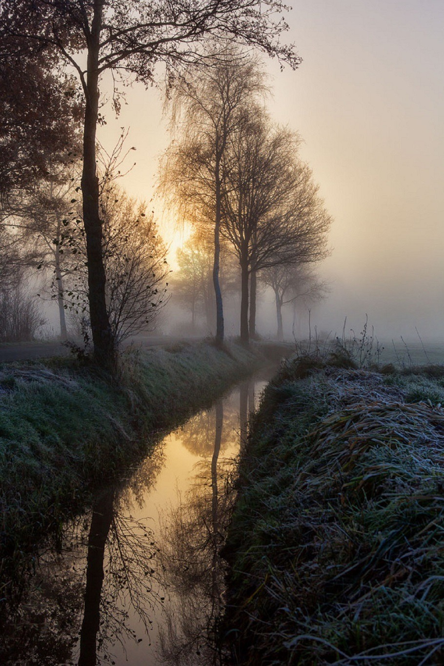 spirit-vibes:  tumhblr:  sublim-ature:  GermanyPatrick Willner  nature / vintage