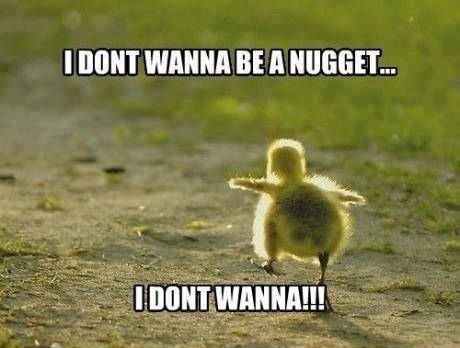 #chikennuggets  So cute. No more nuggets for this gal!