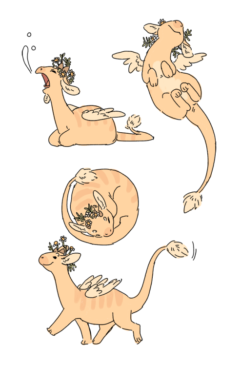 strangelykatie: chamomile teadragon. based on my cat! and freshly baked bread @vathos tea dragons. t