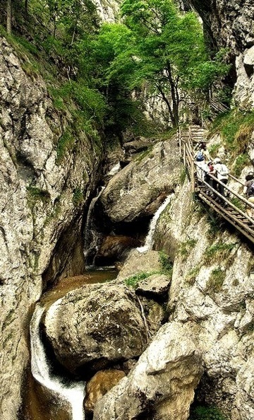By Kriemilde On Flickr.Wooden Paths In Brenschtzklamm Gorge, Austria.