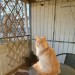 ourpetco: